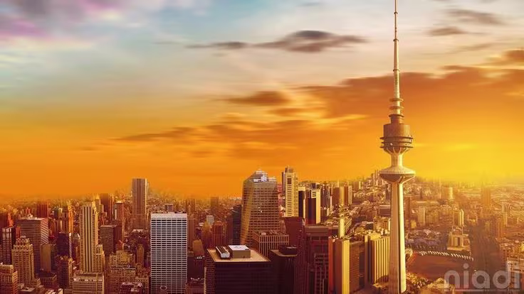 Dedicated Server Riyadh